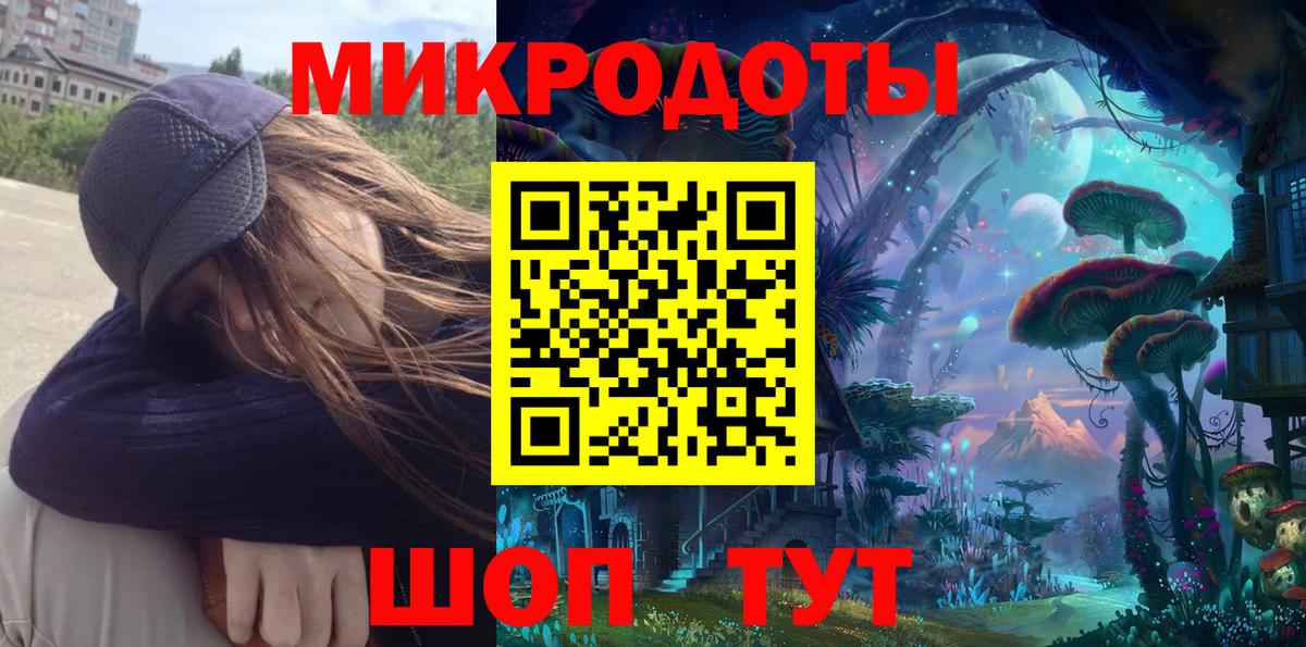 Галлюциногенные грибы Psilocybine cubensis Великие Луки