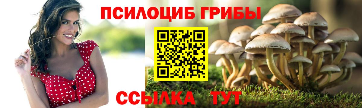 Галлюциногенные грибы Psilocybine cubensis  Вход с VPN  Псилоцибиновые грибы Magic Shrooms  Великие Луки 